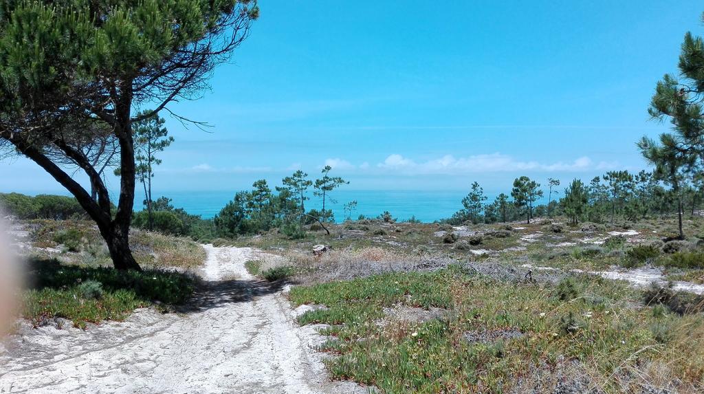 Willa Casa Rio Da Prata Aldeia do Meco Zewnętrze zdjęcie