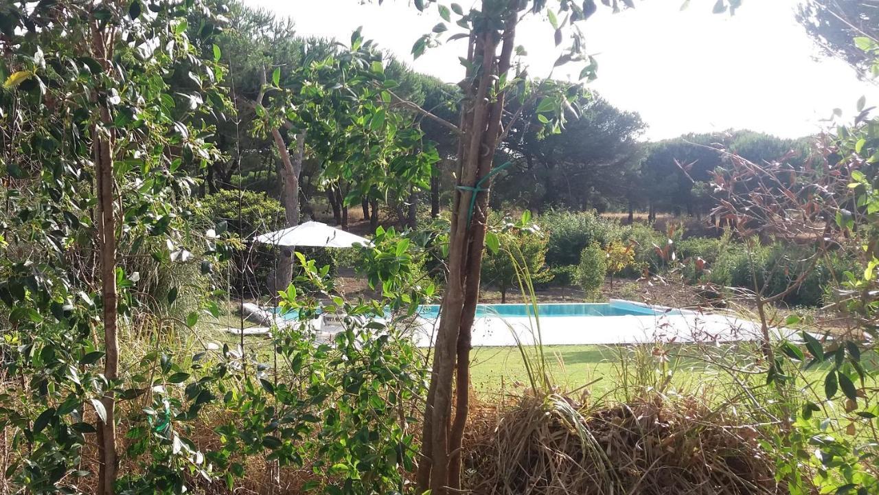 Willa Casa Rio Da Prata Aldeia do Meco Zewnętrze zdjęcie